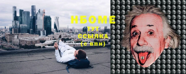 молекула духа Мегион