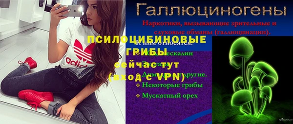 молекула духа Мегион